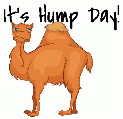 hump day gif|hump day gif funny work.